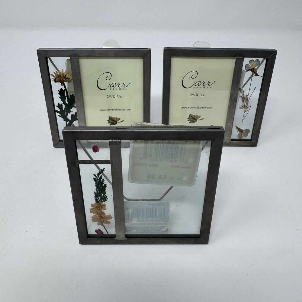 Carr Pressed Flower Picture Frames 2.5”x3.5” Set of 3 Vintage 2001